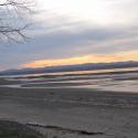 IMG%200950.JPG